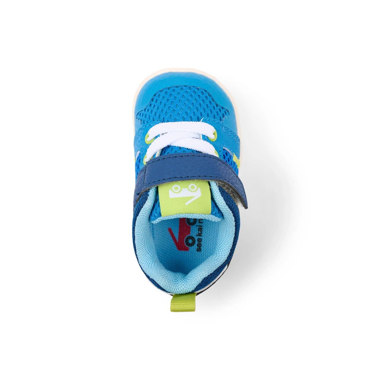 Viento Mini Bold Blue | See Kai Run