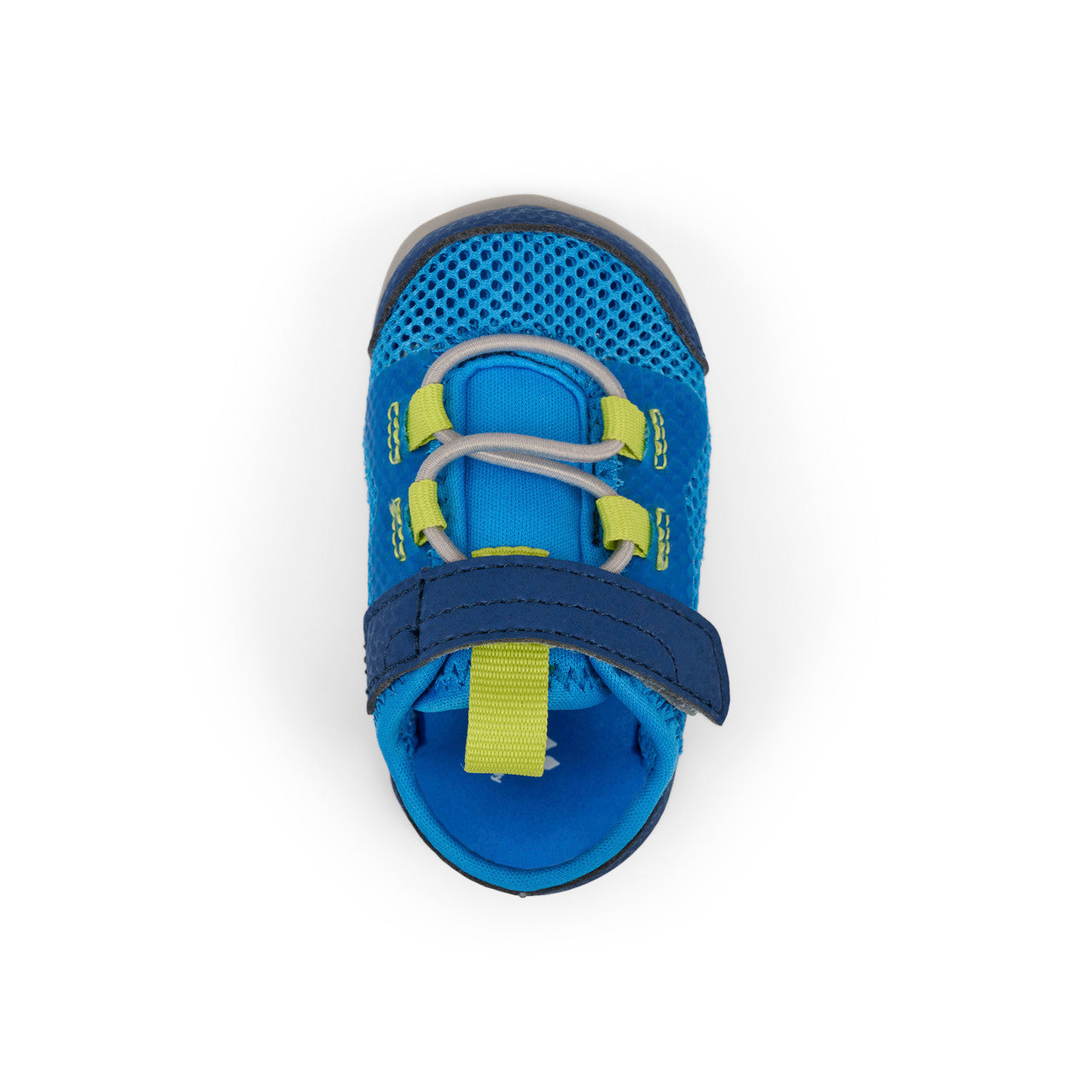 Aven Mini Bold Blue | See Kai Run