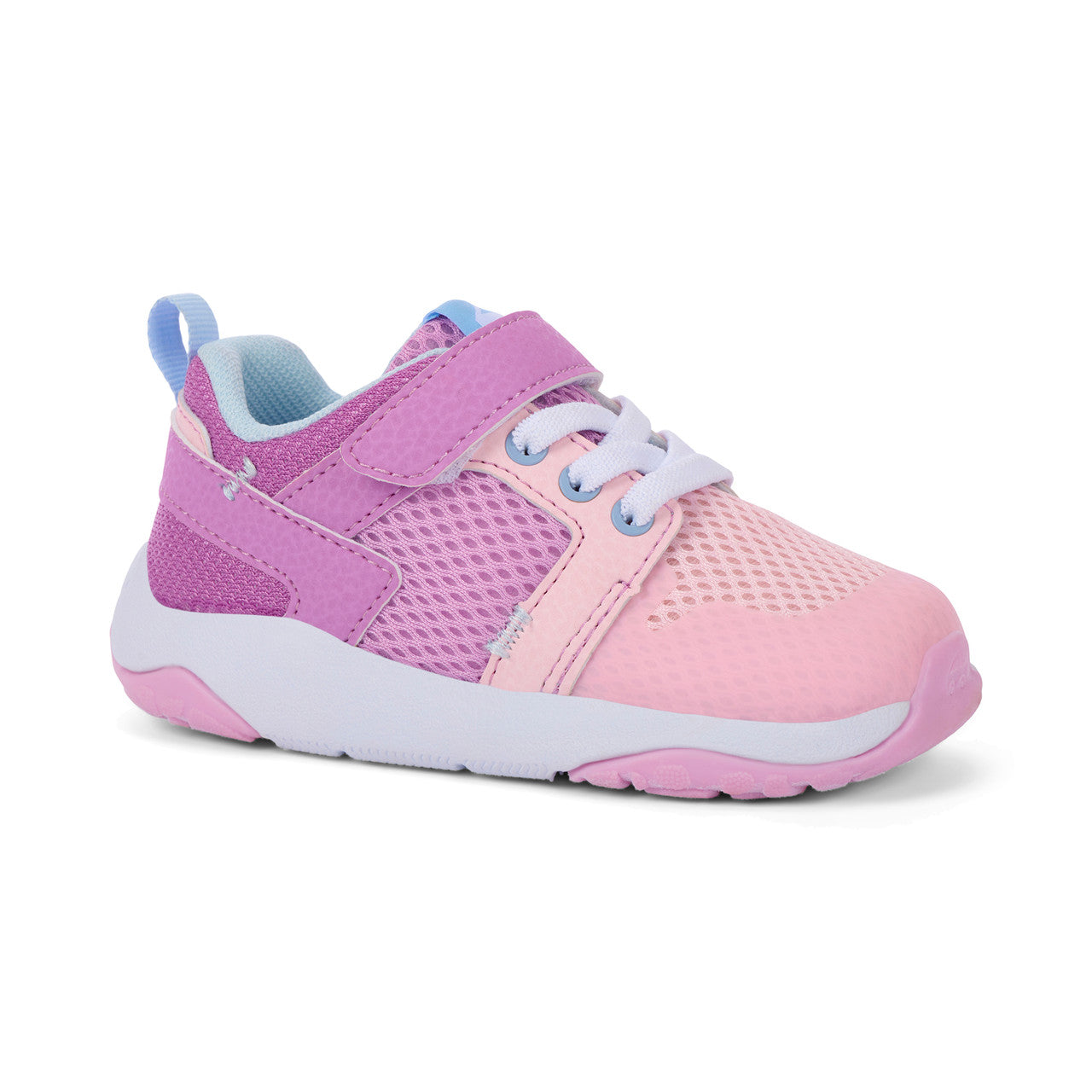 Viento Orchid Purple | See Kai Run