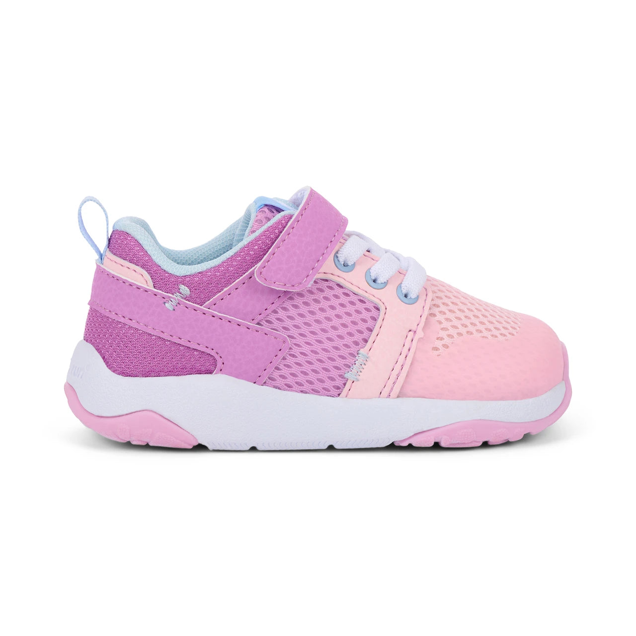Viento Orchid Purple | See Kai Run