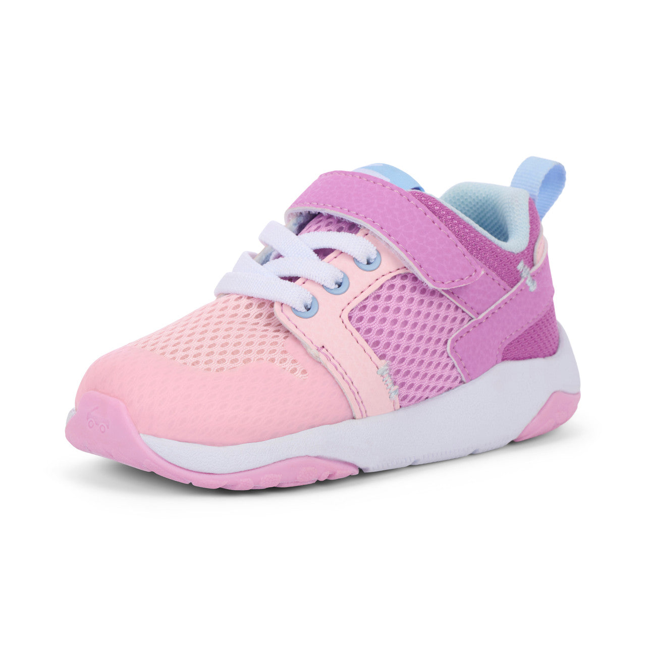Viento Orchid Purple | See Kai Run