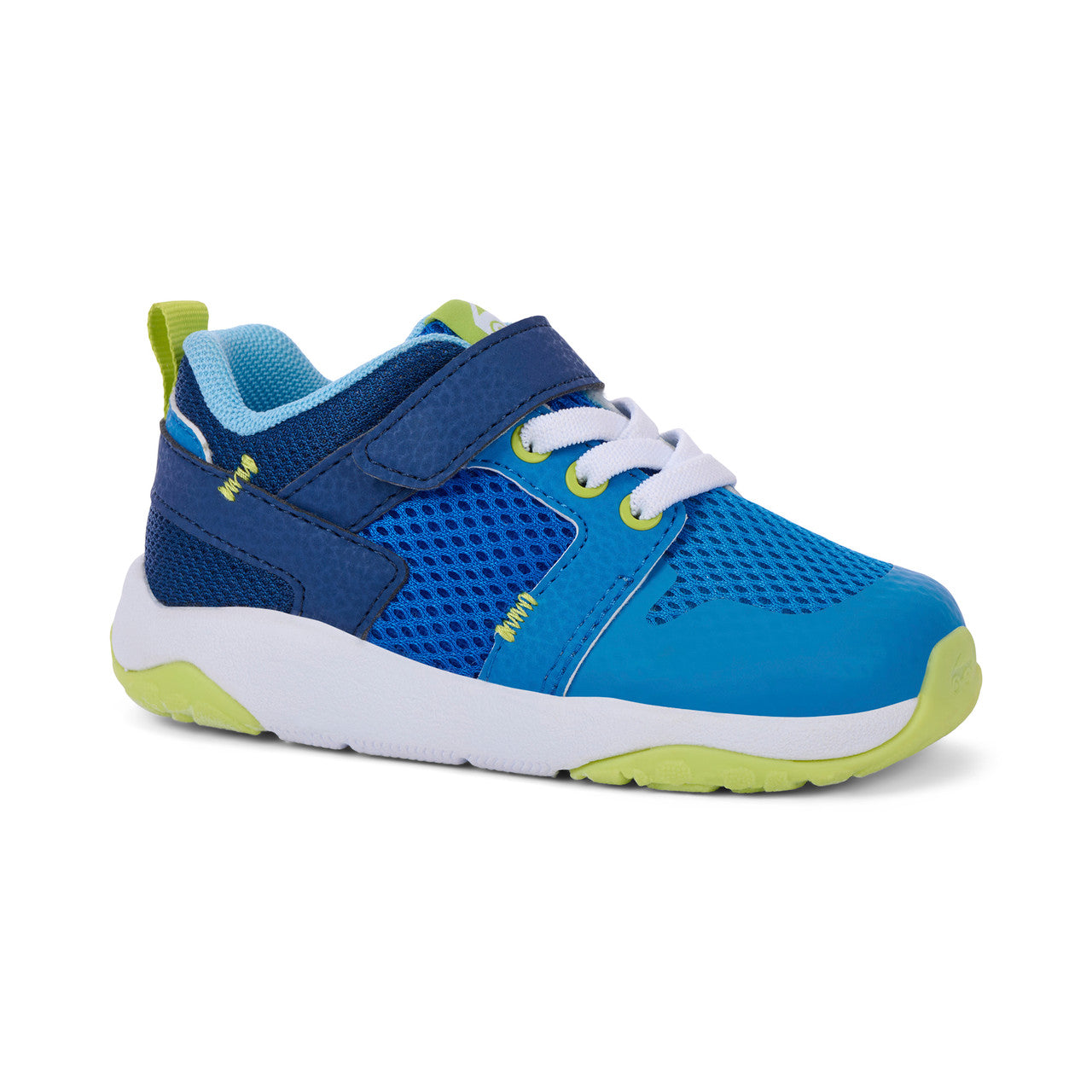 Viento Bold Blue | See Kai Run