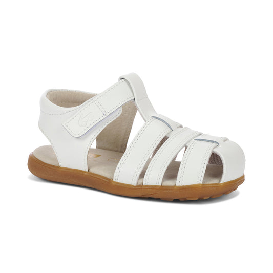 Gloria V White | See Kai Run