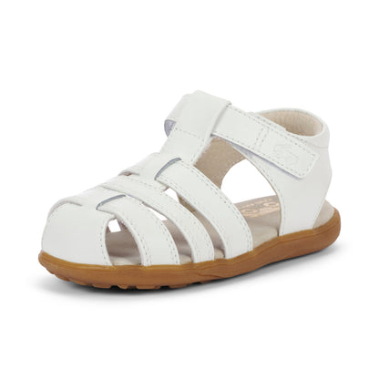 Gloria V White | See Kai Run