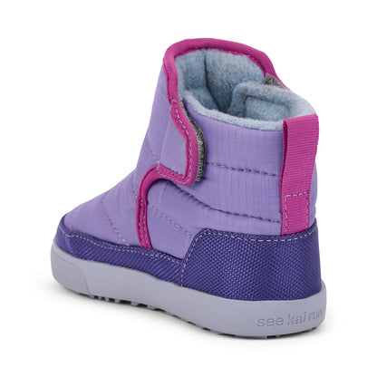 Teddy Heirloom Purple | See Kai Run