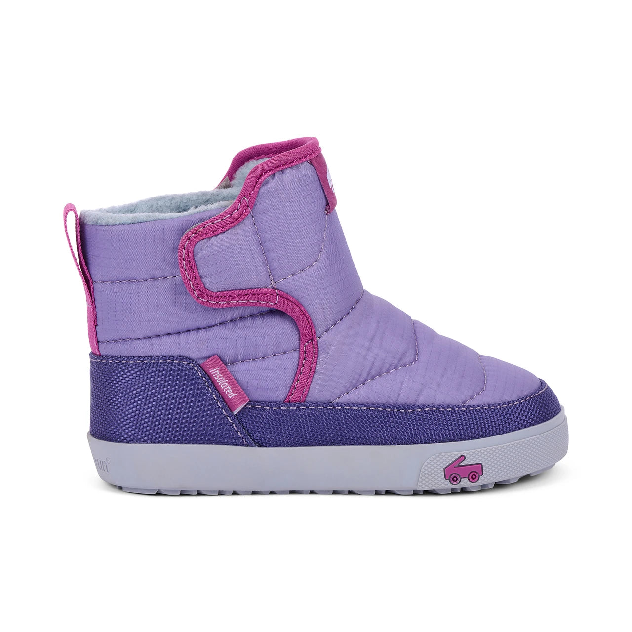 Teddy Heirloom Purple | See Kai Run