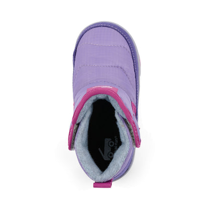 Teddy Heirloom Purple | See Kai Run
