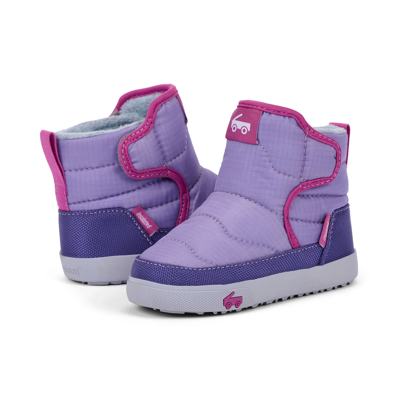 Teddy Heirloom Purple | See Kai Run